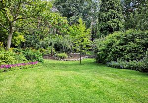 Optimiser l'expérience du jardin à Bevillers